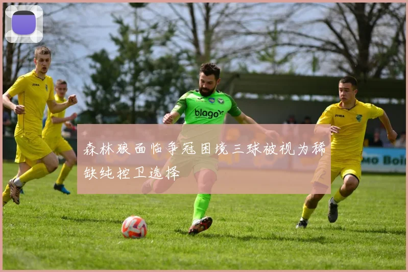 森林狼面临争冠困境三球被视为稀缺纯控卫选择